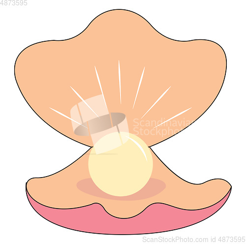 Image of Shinny pearl in a sea shell vector illustration on white backgro