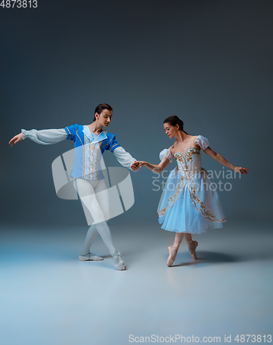 Image of Young and graceful ballet dancers as Cinderella fairytail characters.