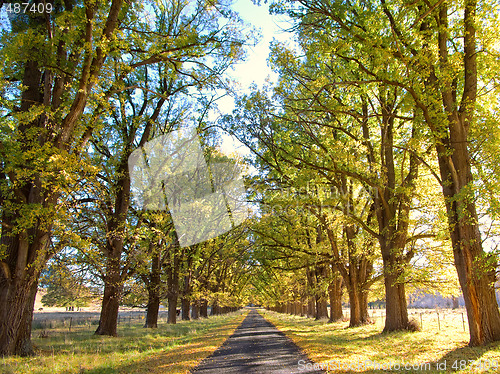Image of autumn country road