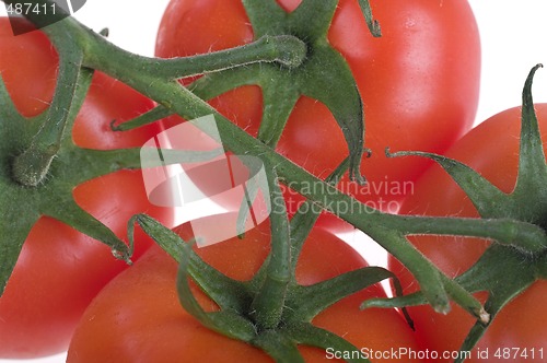 Image of fresh tomatoes