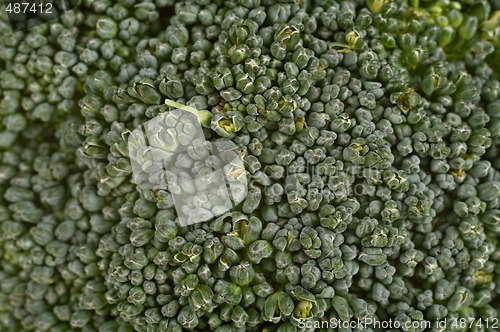 Image of broccoli background