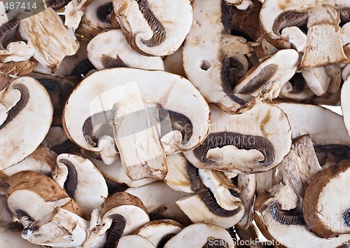 Image of mushrooms