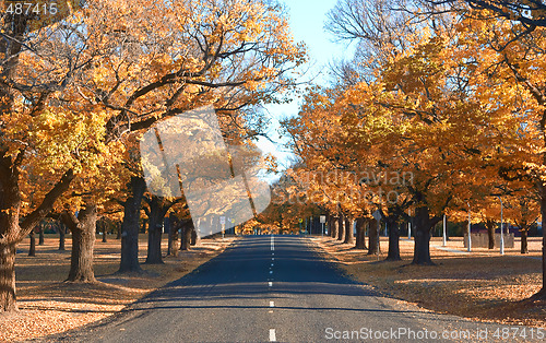 Image of autumn country road