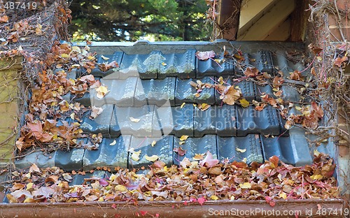 Image of leaves in the gutter