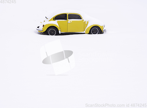 Image of Yellow Beetle