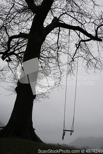 Image of A single rope swing