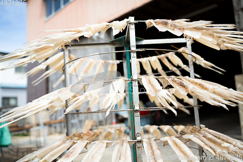 Image of Drying out of squid