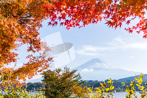 Image of Fuji and Kawaguchiko