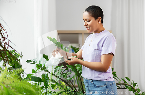 Image of happy african american woman cleaning houseplant