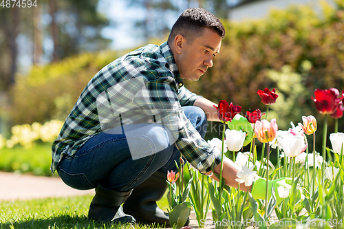 Image of middle-aged man taking care of flowers at garden