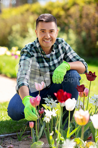 Image of middle-aged man taking care of flowers at garden