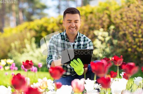 Image of man with tablet pc and flowers at summer garden