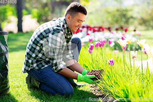 Image of middle-aged man taking care of flowers at garden