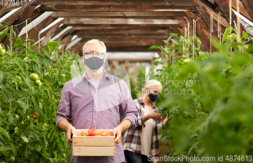 Image of old couple with box of tomatoes at farm greenhouse