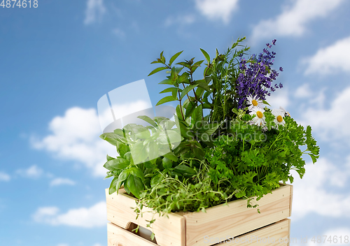 Image of green herbs and flowers in wooden box on table