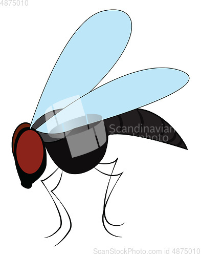 Image of Big black fly vector or color illustration