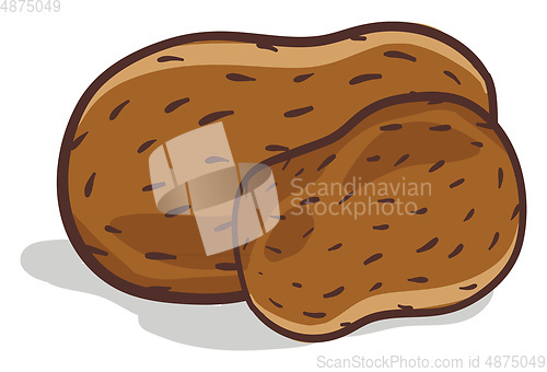 Image of Potatos illustration vector on white background 