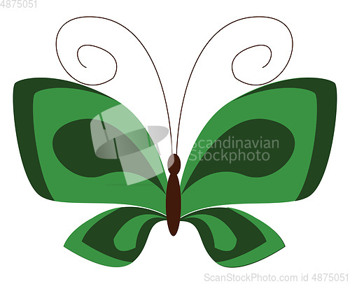 Image of A green butterfly vector or color illustration