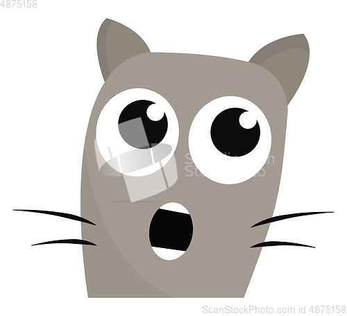 Image of Shocked cat vector or color illustration