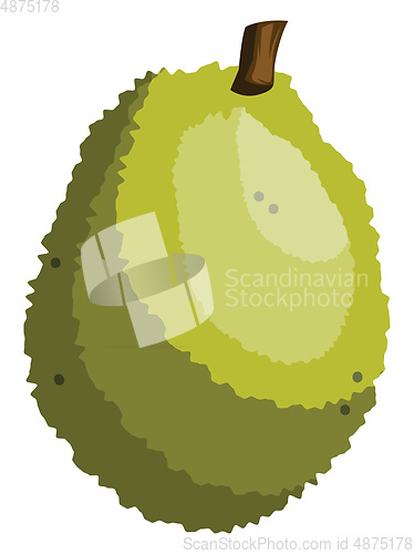 Image of Green jackfruit vector illustration on white background.