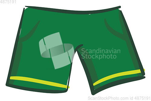 Image of A green color sports shorts vector or color illustration
