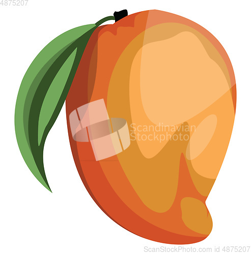 Image of Cartoon of a orange and yellow mango fruit with green leaf vecto