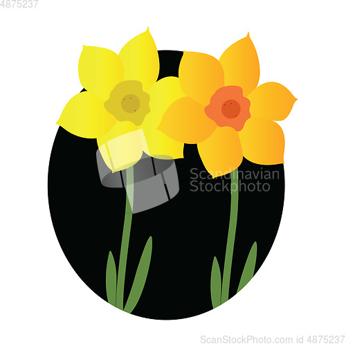 Image of Vector illustration of yellow and orange jonquil flowers with gr