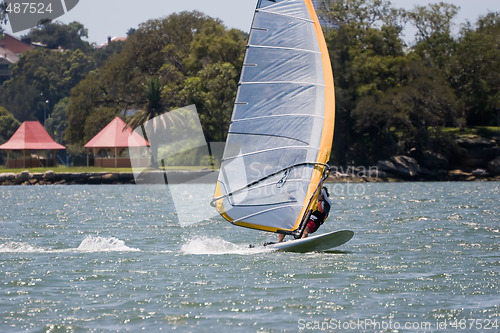 Image of Sailboarder