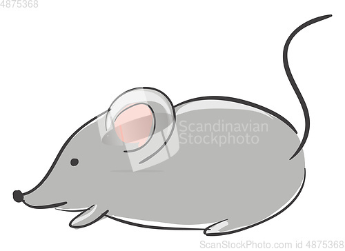 Image of Cartoon grey mouse/Cute little cartoon mouse vector or color ill