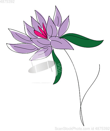 Image of Purple lflower with green leaves vector illustration on white ba