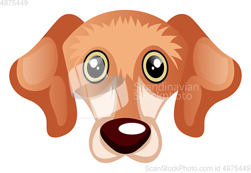 Image of Big eye Chihuahua illustration vector on white background