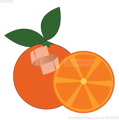 Image of Fresh orange juice vector or color illustration