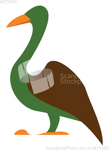 Image of Green bird with orange beak vector or color illustration