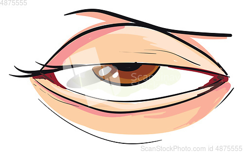 Image of Half closed eye of a woman White background 