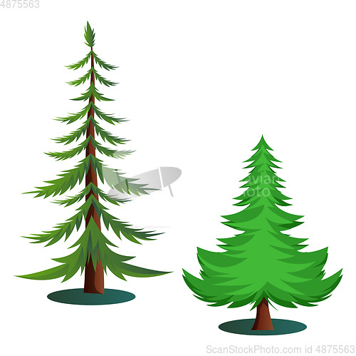 Image of Couple of green trees vector illustration on white background