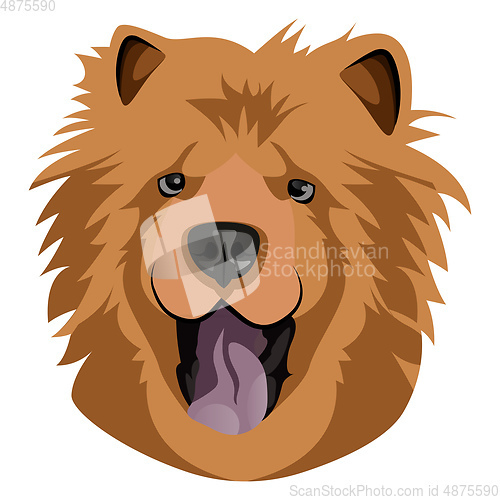 Image of Happy Chow Chow illustration vector on white background