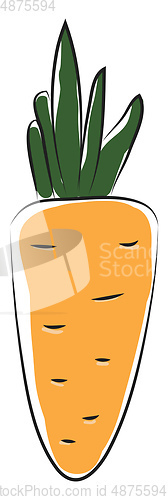Image of Fresh carrot 