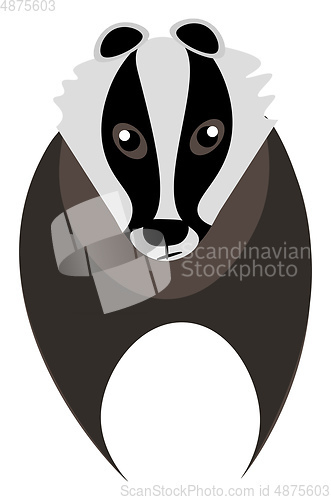 Image of Clipart of the badger animal vector or color illustration