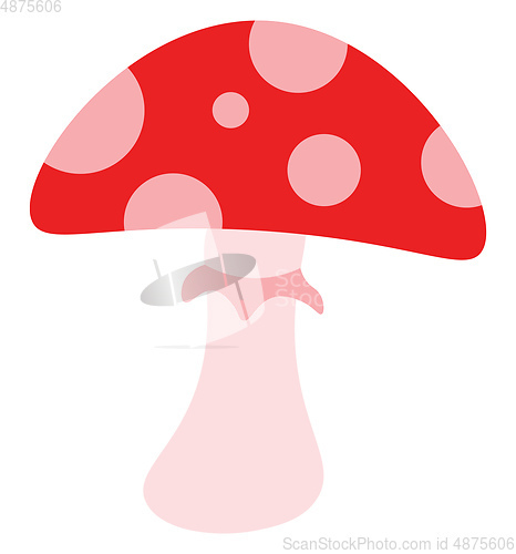 Image of A red spotted mushroom vector or color illustration