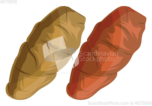 Image of Dark yellow and orange yam roots vector illustration of vegetabl