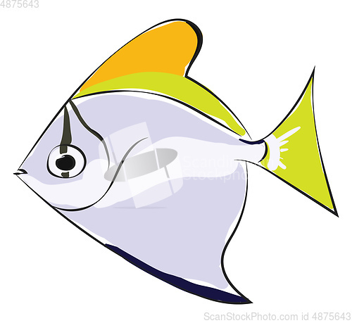 Image of Monodactylus argentus/Silver moonyfish/Silver moony/Butter bream