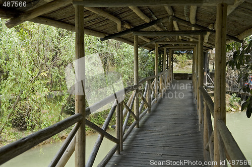 Image of Corridor of wooden bridge