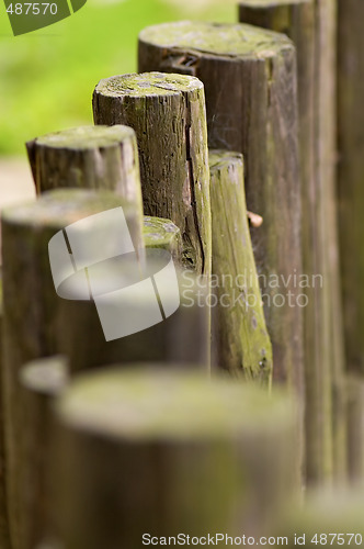 Image of Line of wooden beams