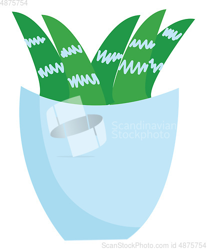 Image of Plant in vase illustration vector on white background 