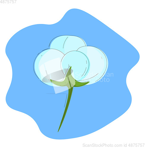 Image of white Cotton vector or color illustration