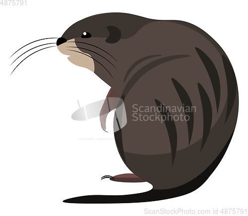 Image of Cartoon muskrat set on isolated white background viewed from beh