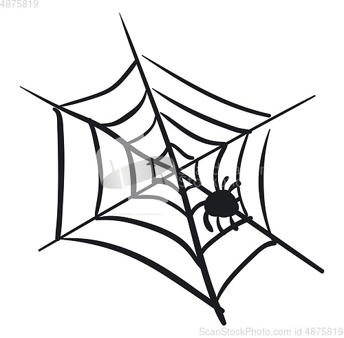 Image of A black and white cobweb vector or color illustration