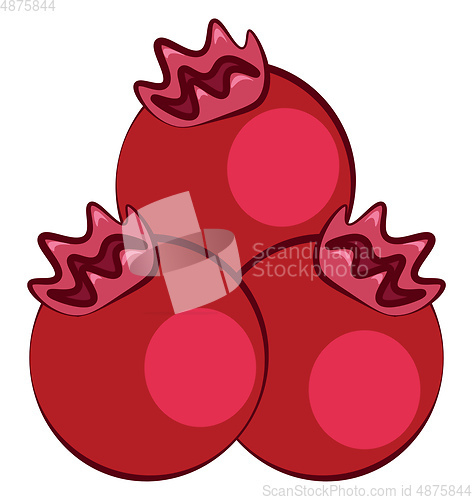 Image of Red berries, vector color illustration.