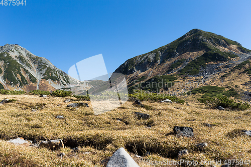 Image of Highland in Mt.Tateyama