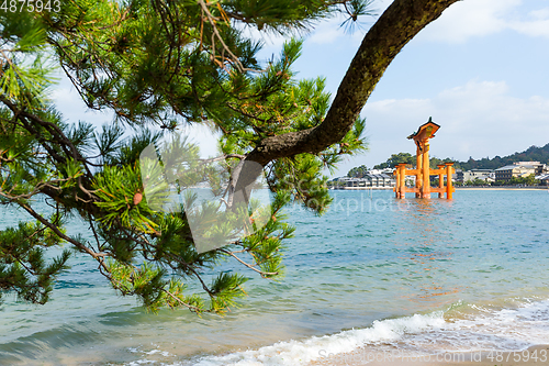 Image of Itsukushima Shrine